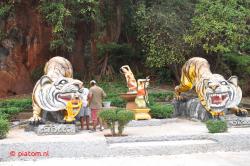 Tiger temple.